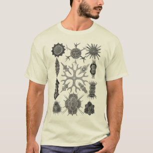Camiseta Protozoarios