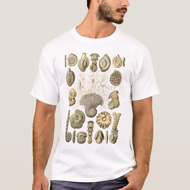 Camiseta Protozoarios (Anverso)