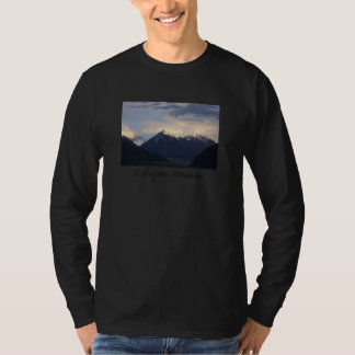 Camiseta ¿Proyecto conseguido?
