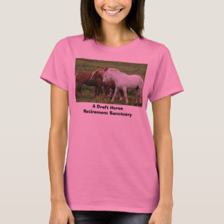 Camiseta ¿Proyecto conseguido?