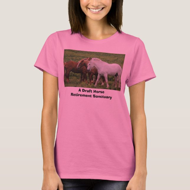Camiseta ¿Proyecto conseguido? (Anverso)
