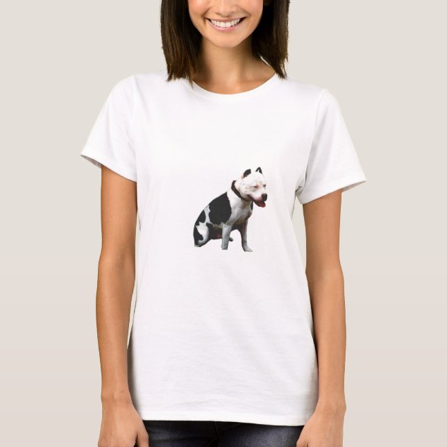 Camiseta Prueba (Anverso)