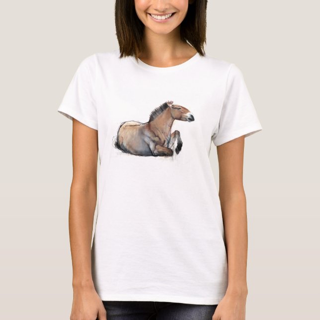 Camiseta Przewalski asentado 2011 (Anverso)