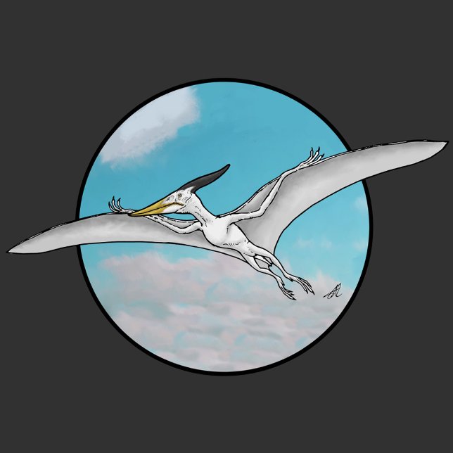 Camiseta Pteranodon (Subido por el creador)