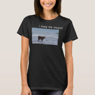 Camiseta Puede que sea un meme de vacas estúpidas.