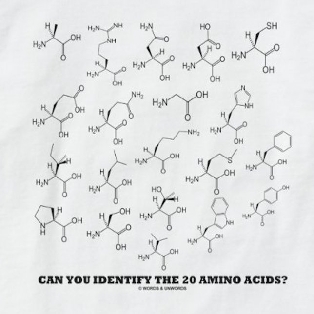 Camiseta ¿Puedes Identificar Los 20 Ácidos Amino? Química (Tee featuring the scientific query "Can You Identify The 20 Amino Acids?")