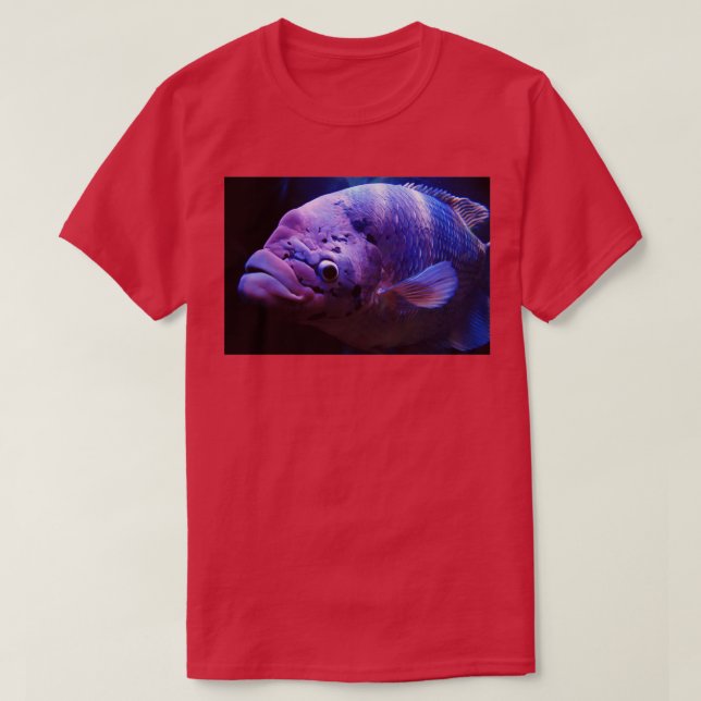 Camiseta Puedo Verte (Diseño del anverso)
