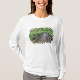 Camiseta puente de madera del sendero Maple Glade, helechos
