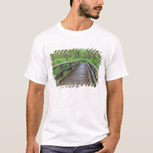 Camiseta Puente de madera, helechos y pavimentos de la hoja