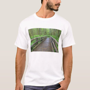 Camiseta puente de madera Maple Glade trail, helechos y