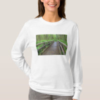 puente de madera Maple Glade trail, helechos y