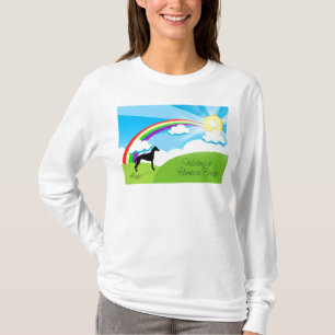 Camiseta Puente del arco iris