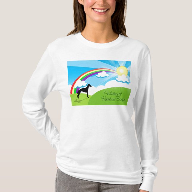 Camiseta Puente del arco iris (Anverso)