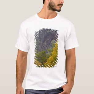 Camiseta Puente New River Gorge, New River Gorge