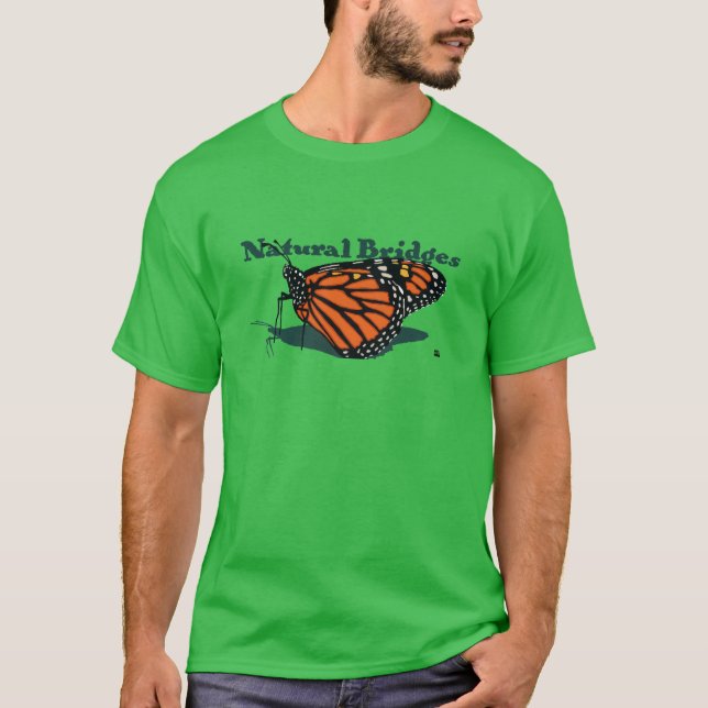 Camiseta Puentes naturales de Stephen Hosmer (Anverso)