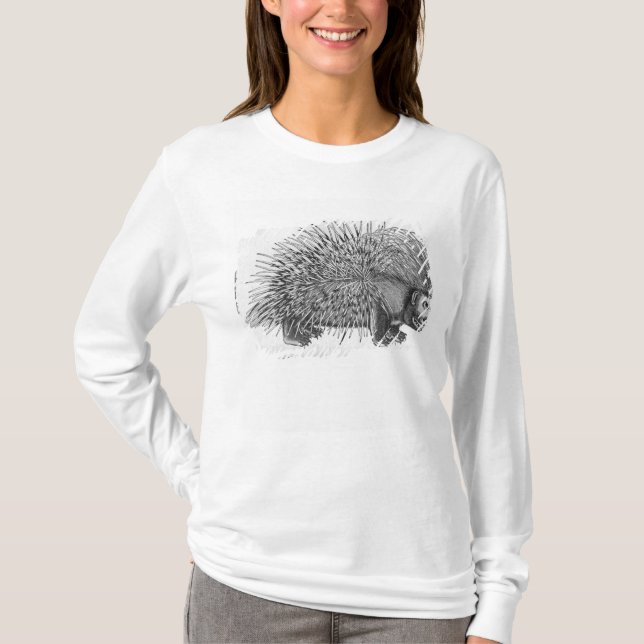Camiseta Puerco espín, de 'Historia Animalium (Anverso)