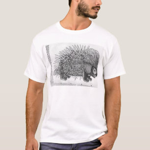 Camiseta Puerco espín, de 'Historia Animalium