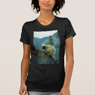 Camiseta Puerco espín en un árbol spruce, NWT, Canadá