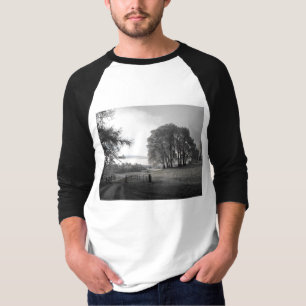 Camiseta Puerta al valle
