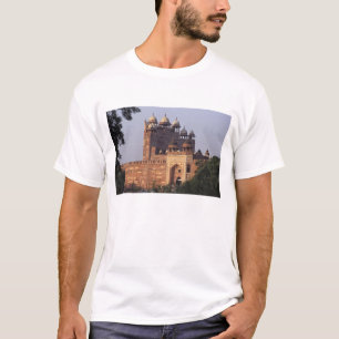 Camiseta Puerta Buland Darwaza (Puerta de la Victoria) al D
