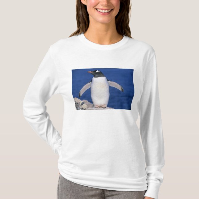 Camiseta Puerto de papa de Gentoo Penguin Pygoscelis (Anverso)