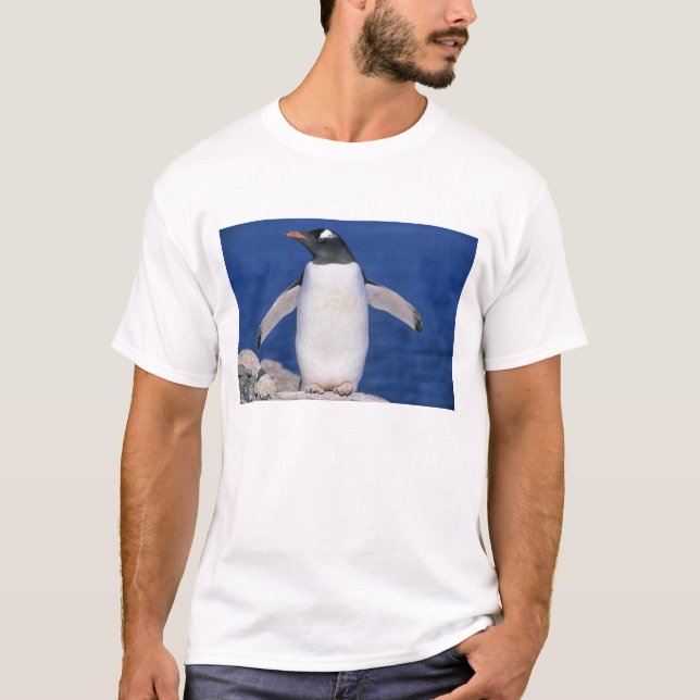 Camiseta Puerto del pingüino de Gentoo (Pygoscelis papua) (Anverso)