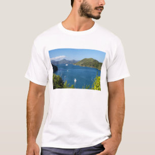 Camiseta Puerto Picton, Marlborough Sounds, Sur