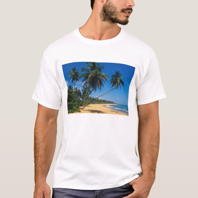 Camiseta Puerto Rico, Isla Verde, palmeras. (Anverso)