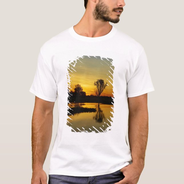Camiseta Puesta de sol, Billabong Yellow Water (Anverso)
