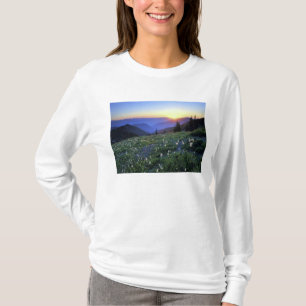 Camiseta Puesta de sol en Obstruciton Point, Parque Naciona