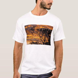 Camiseta Puesta de sol, Parque Nacional Uluru-Kata Tjuta,