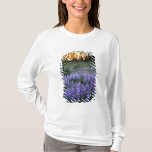 Camiseta Puesta de sol sobre Mt. Adams y un prado subalpino