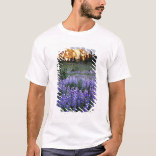 Camiseta Puesta de sol sobre Mt. Adams y un prado subalpino