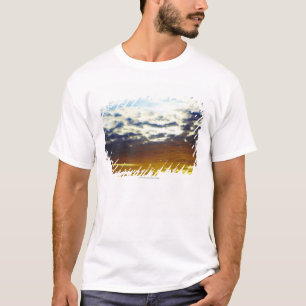 Camiseta Puesta del sol cambiante azul amarilla con las