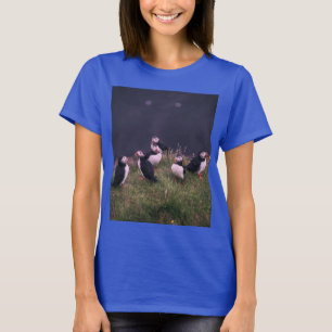 Camiseta Puffins atlánticos