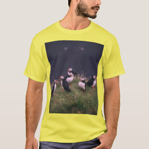 Camiseta Puffins atlánticos