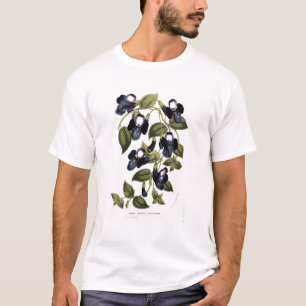 Camiseta Pulcherrima asiatica de Torenia