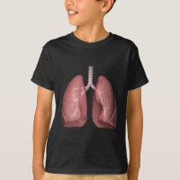 pulmones