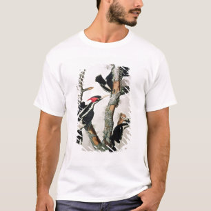 Camiseta pulsación de corriente Marfil-cargada en cuenta,