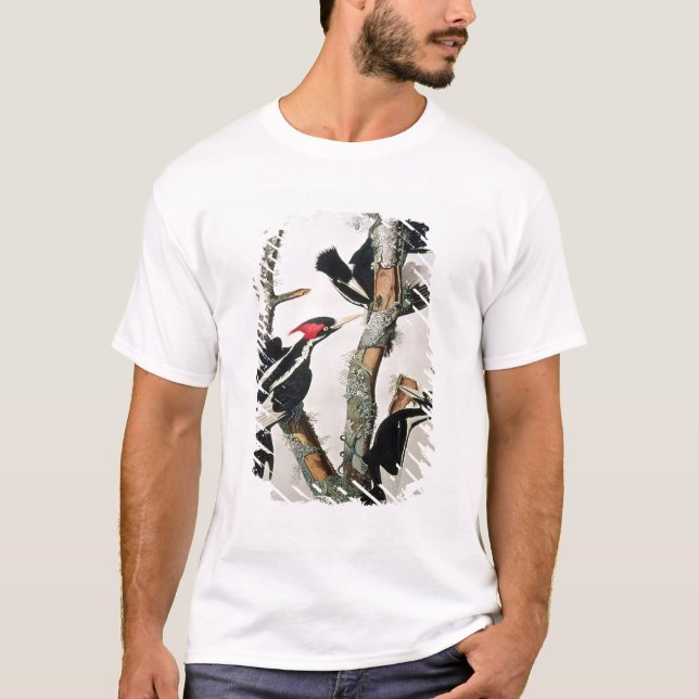 Camiseta pulsación de corriente Marfil-cargada en cuenta, (Anverso)