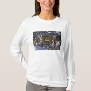 Camiseta Puma