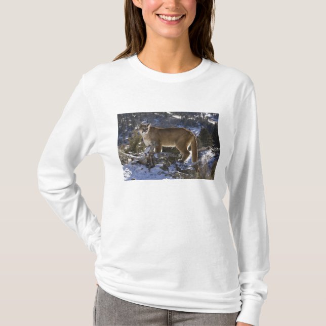 Camiseta Puma (Anverso)
