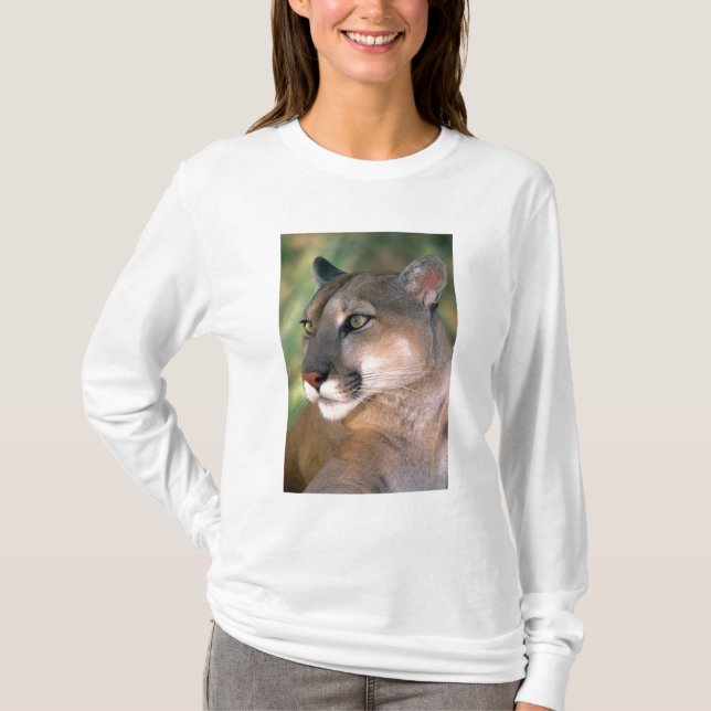 Camiseta Puma, California (Anverso)