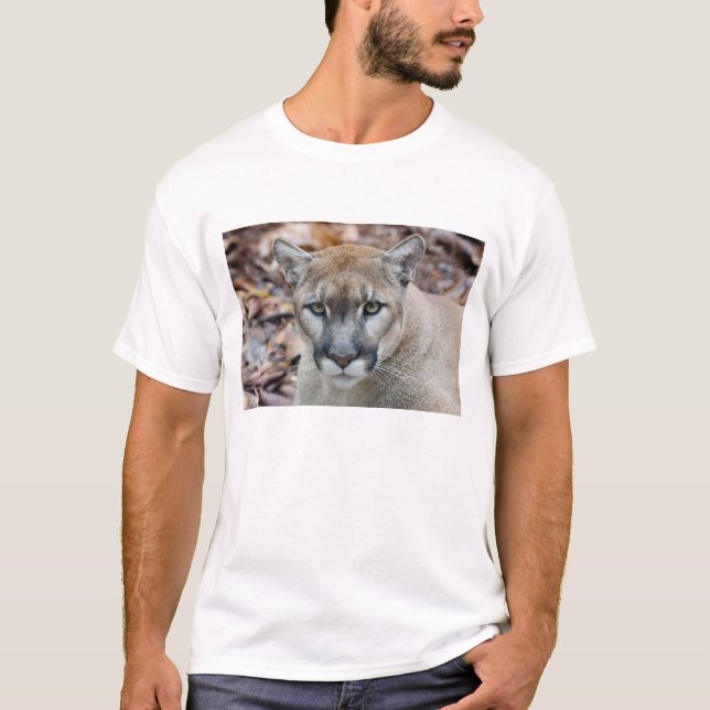 Camiseta Puma, león de montaña, pantera de Florida, Puma (Anverso)