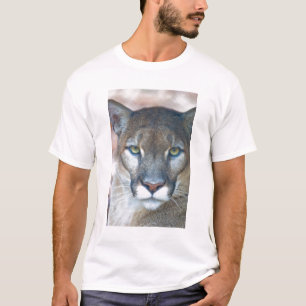 Camiseta Puma, león de montaña, pantera de Florida, Puma