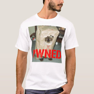 Camiseta pwnage, el lema de los videojugadores