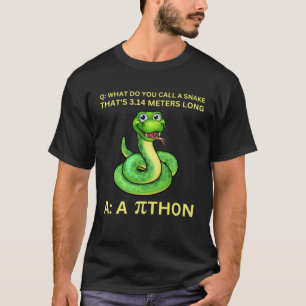 Camiseta Python Pithon Pi Day Mathemthemth TeachWomen