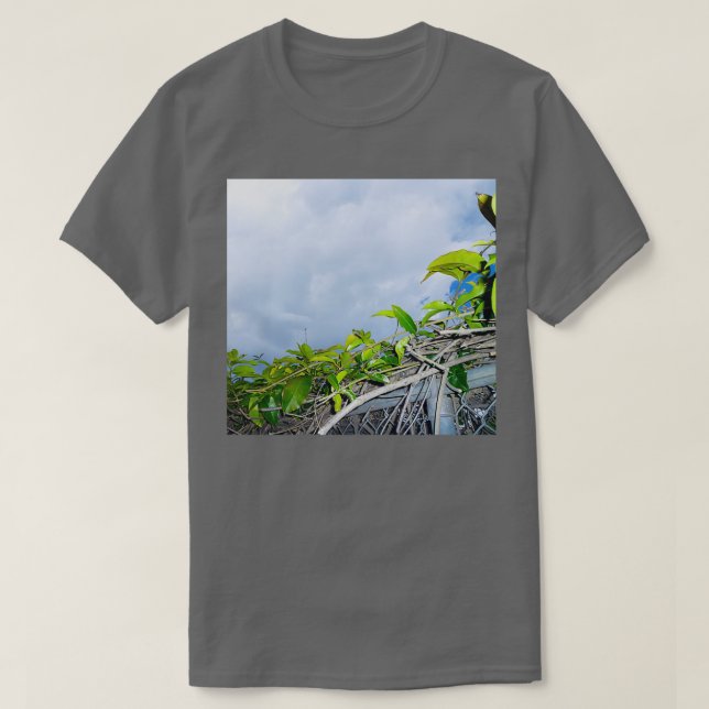Camiseta q0010 (Diseño del anverso)