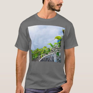 Camiseta q0010