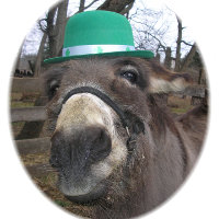 "¿Qué Estás Mirando?"